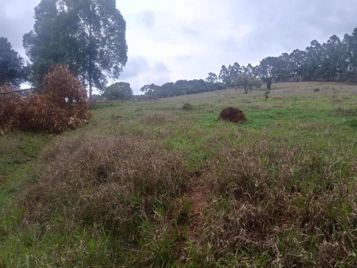 Fazenda, Zona Rural, 3 Quartos, 0 Vaga