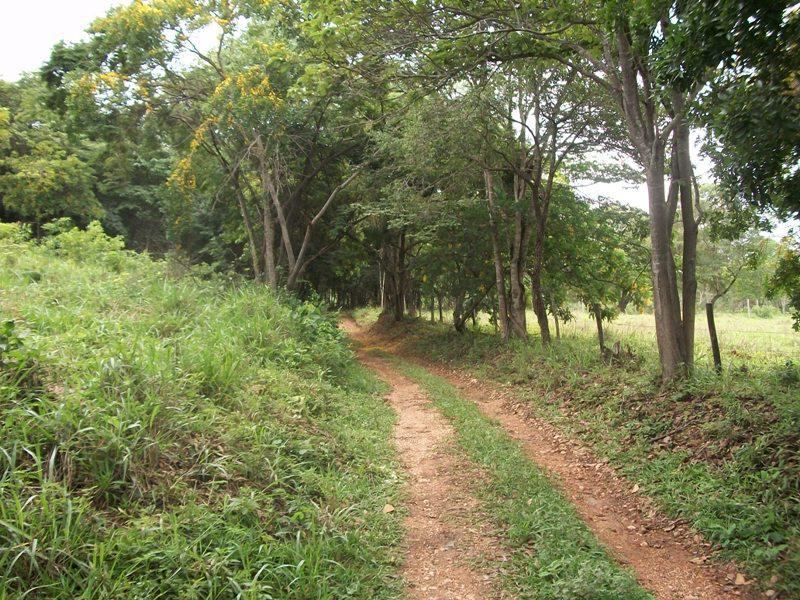 Fazenda, Centro, 4 Quartos, 15 Vagas, 1 Suíte