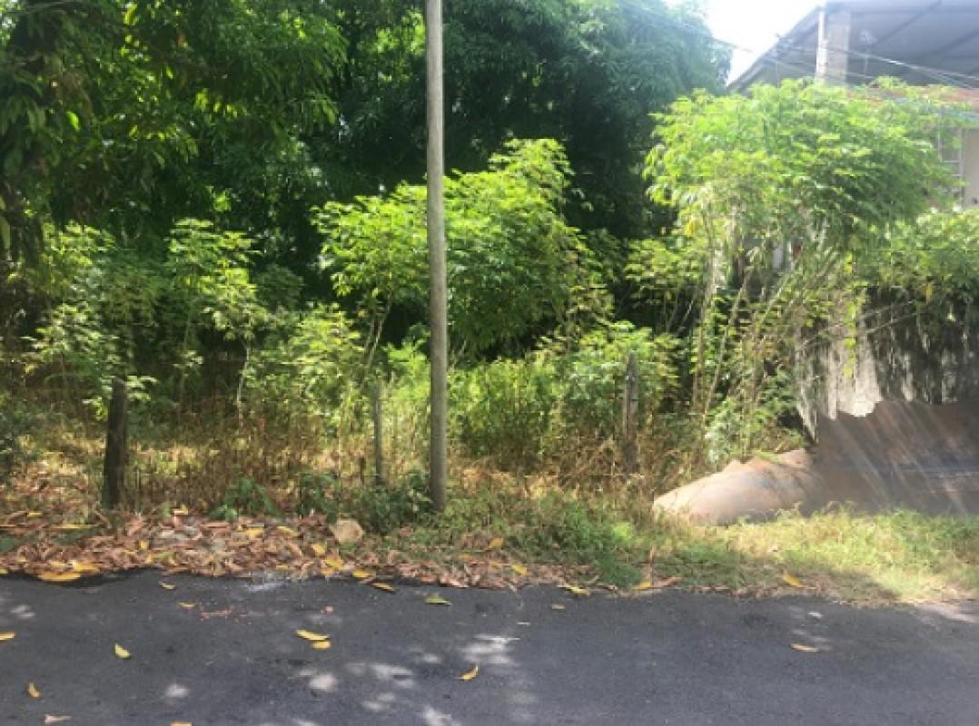Lote, Borges, 0 Quarto, 20 Vagas