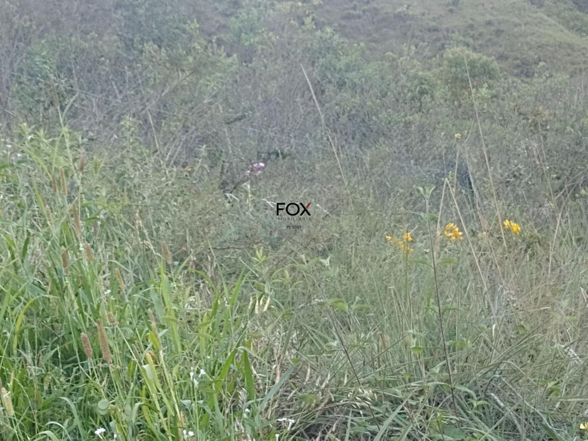 Lote, Vila Castela, 0 Quarto, 0 Vaga