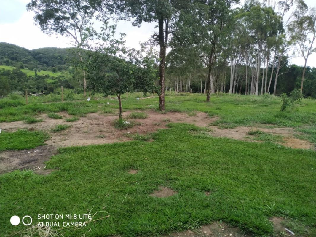 Fazenda, Centro, 0 Quarto, 0 Vaga