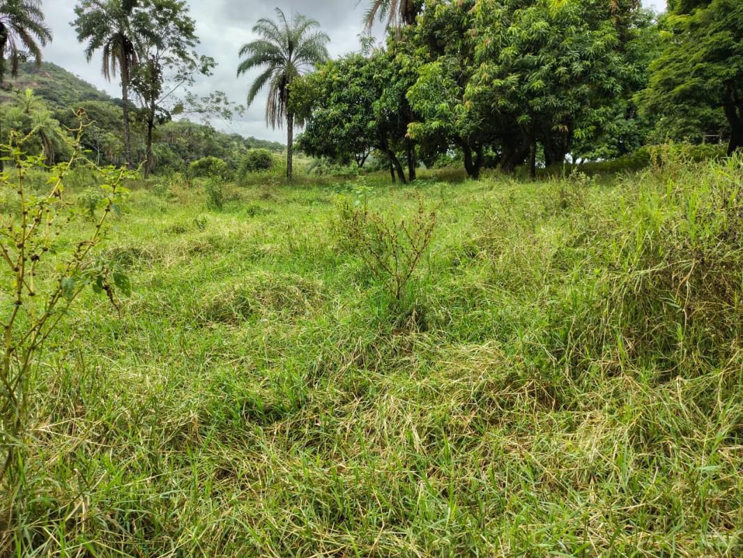Fazenda, Zona Rural, 5 Quartos, 0 Vaga