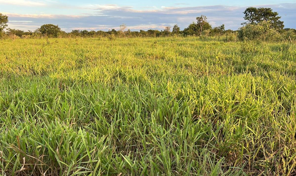 Fazenda, Zona Rural, 0 Quarto, 0 Vaga