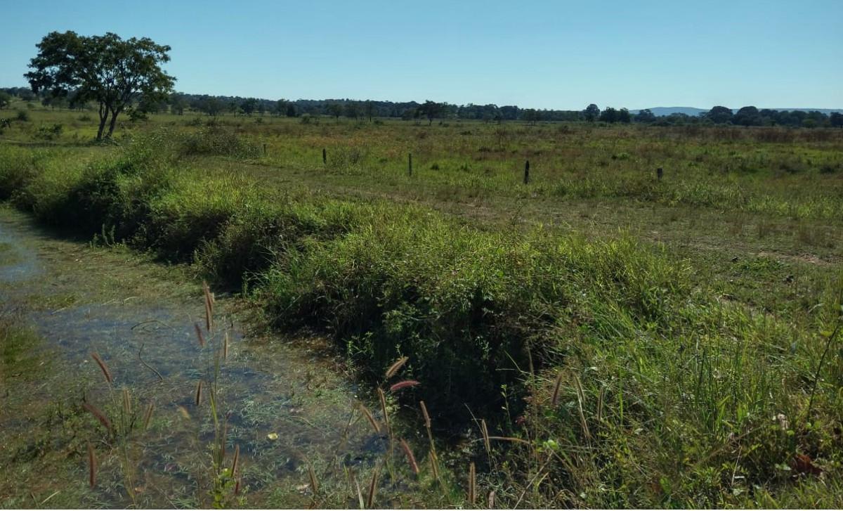 Fazenda, Zona Rural, 0 Quarto, 0 Vaga