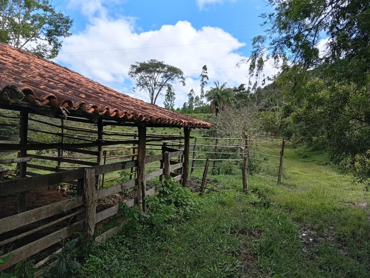 Fazenda, Centro, 3 Quartos, 10 Vagas, 1 Suíte
