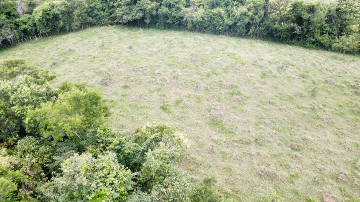 Fazenda, Centro, 0 Quarto, 0 Vaga