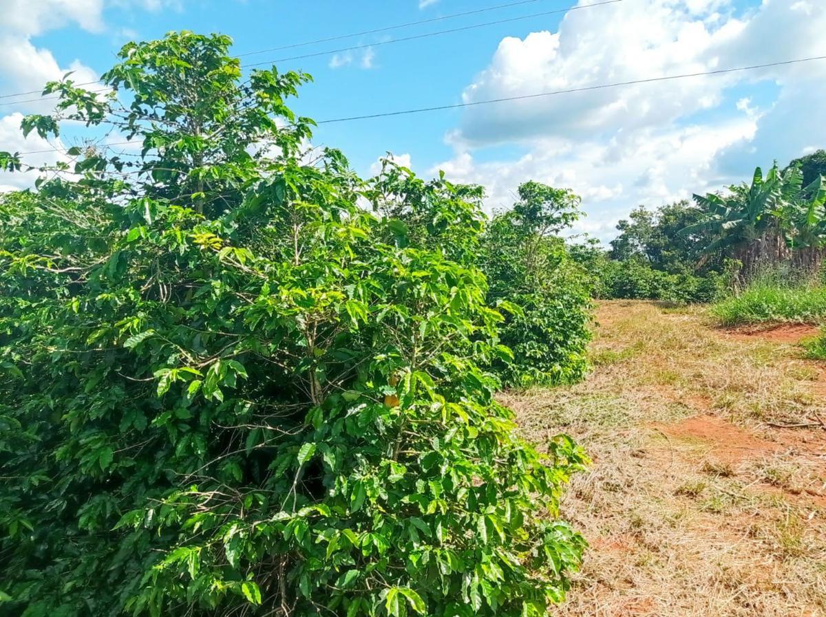 Fazenda, Zona Rural, 0 Quarto, 0 Vaga