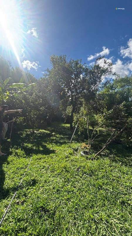 Fazenda, Bonanza, 3 Quartos, 0 Vaga, 1 Suíte