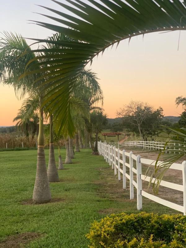Fazenda, Centro, 3 Quartos, 10 Vagas, 1 Suíte