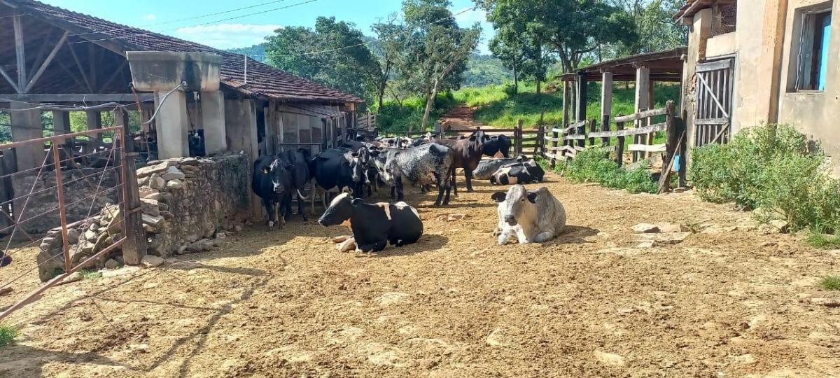 Fazenda, Zona Rural, 4 Quartos, 2 Vagas