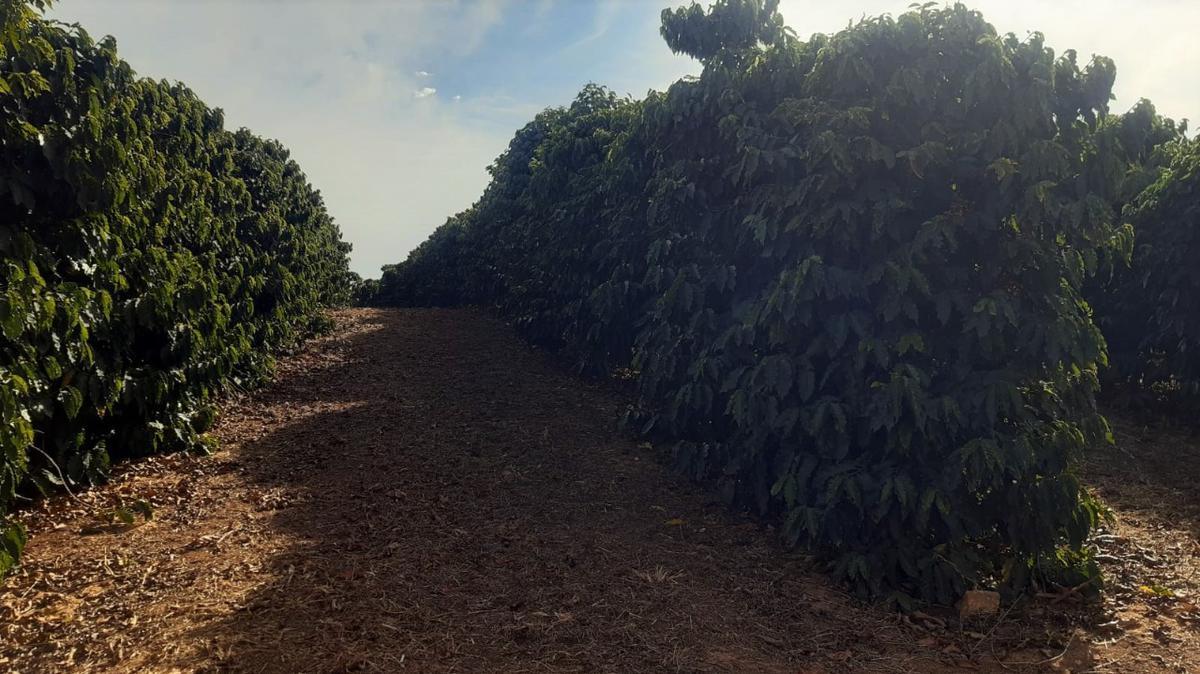 Fazenda, Centro, 1 Quarto, 1 Vaga, 1 Suíte