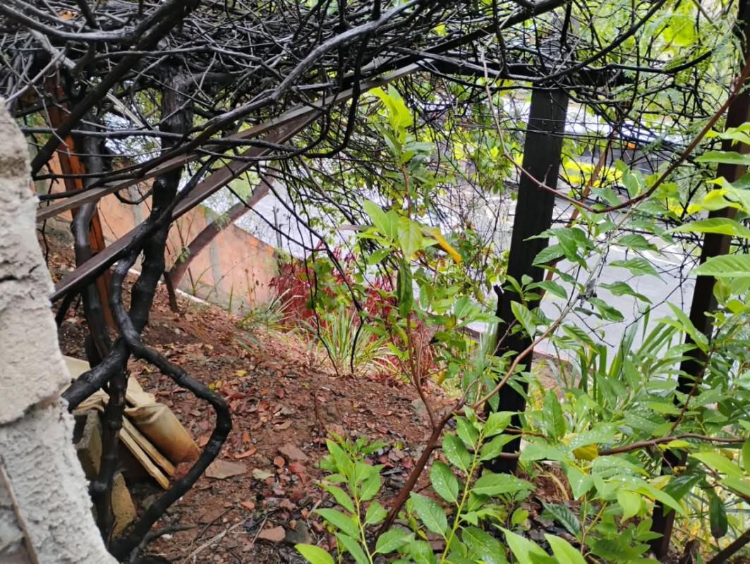 Casa, Vila Clóris, 3 Quartos, 6 Vagas, 1 Suíte