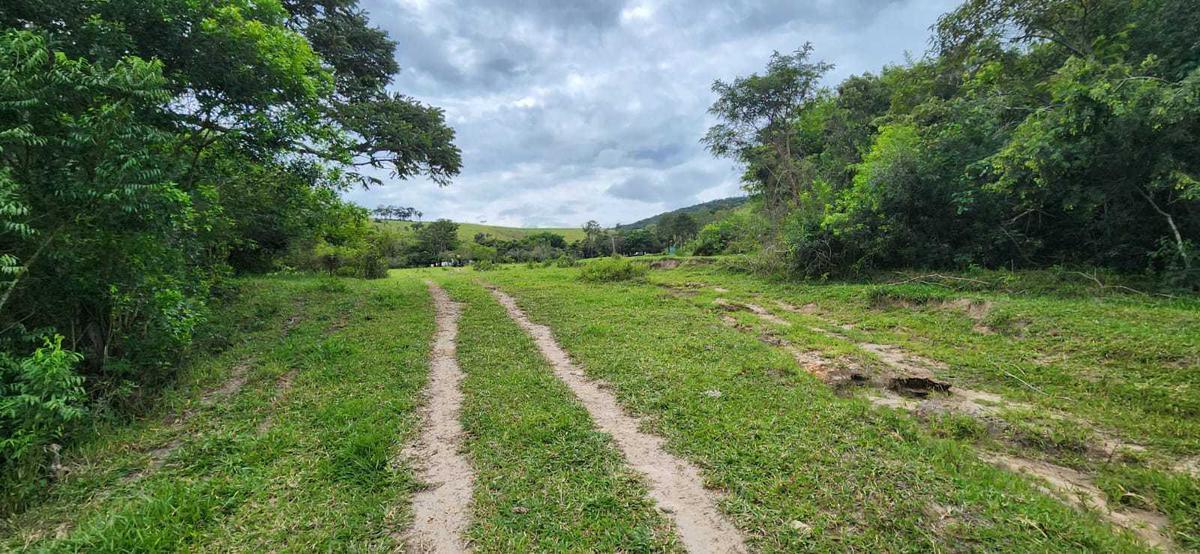Fazenda, Centro, 3 Quartos, 2 Vagas