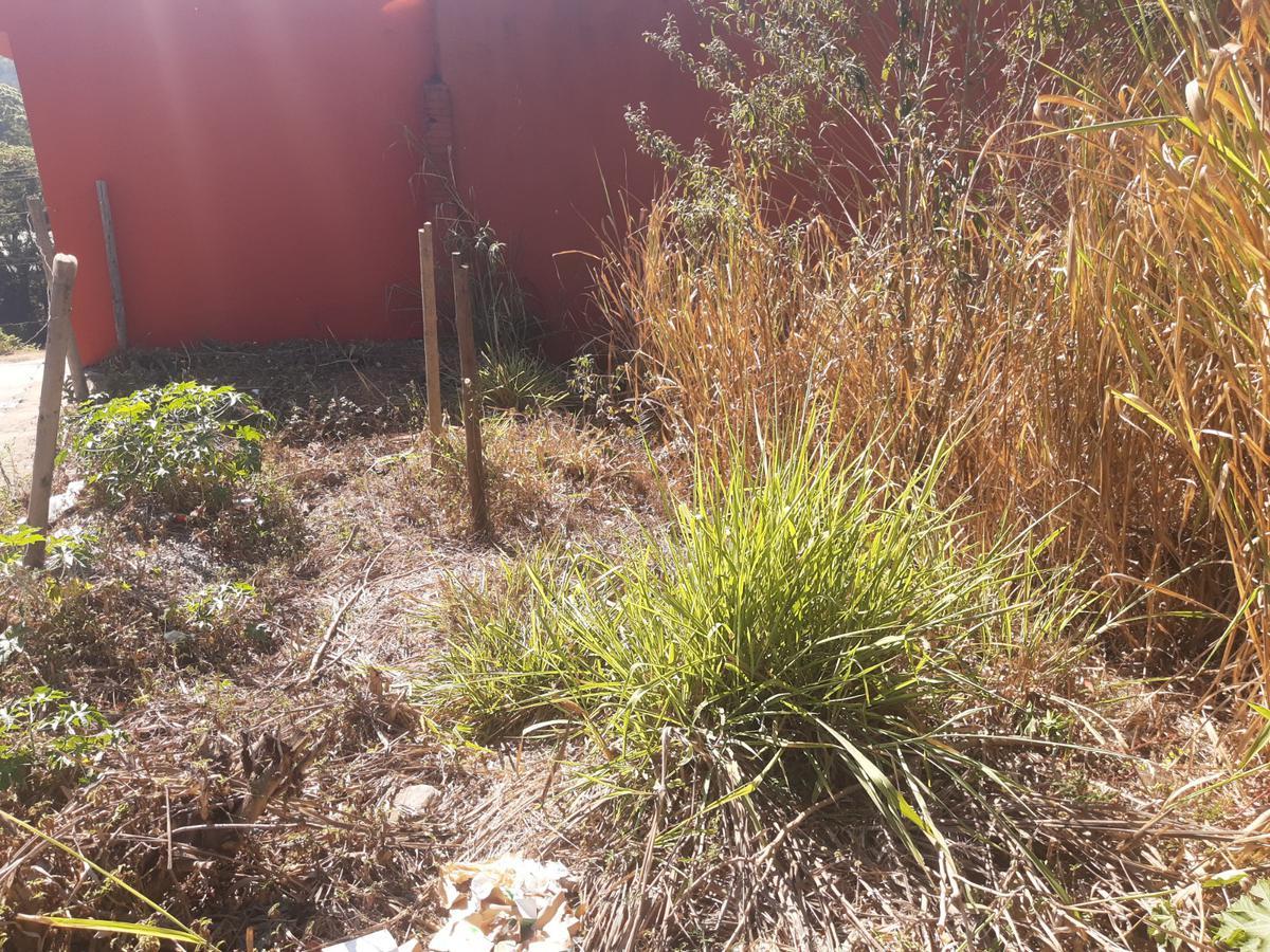 Lote, Vila Santa Cruz, 0 Quarto, 0 Vaga