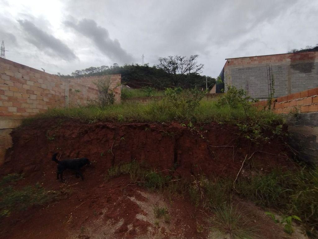 Lote, Paciência, 0 Quarto, 0 Vaga