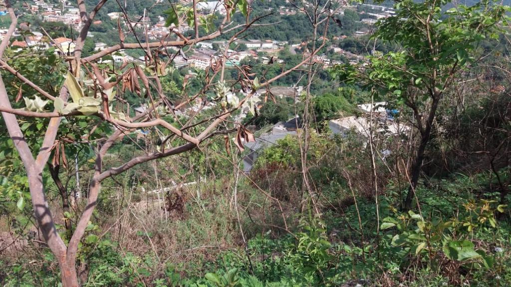 Lote, Morro São Francisco, 0 Quarto, 0 Vaga