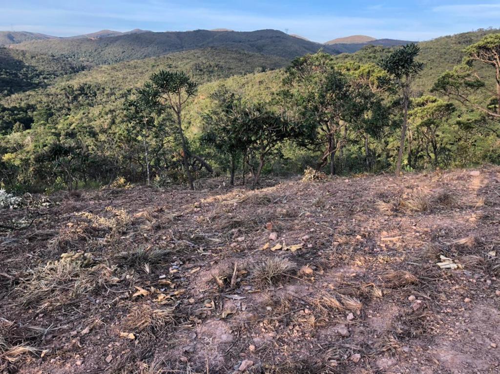 Lote, Arraial Velho, 0 Quarto, 0 Vaga