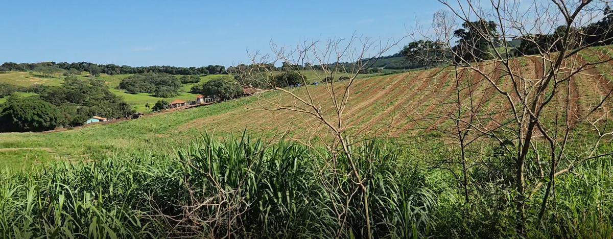 Fazenda, Zona Rural, 0 Quarto, 0 Vaga