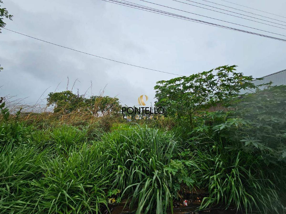 Lote, Santo Antônio, 0 Quarto, 0 Vaga