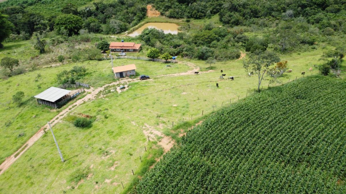 Fazenda, Zona Rural, 0 Quarto, 0 Vaga
