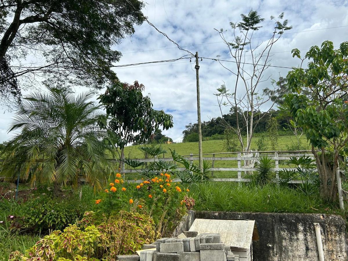Fazenda, Centro, 5 Quartos, 0 Vaga, 2 Suítes