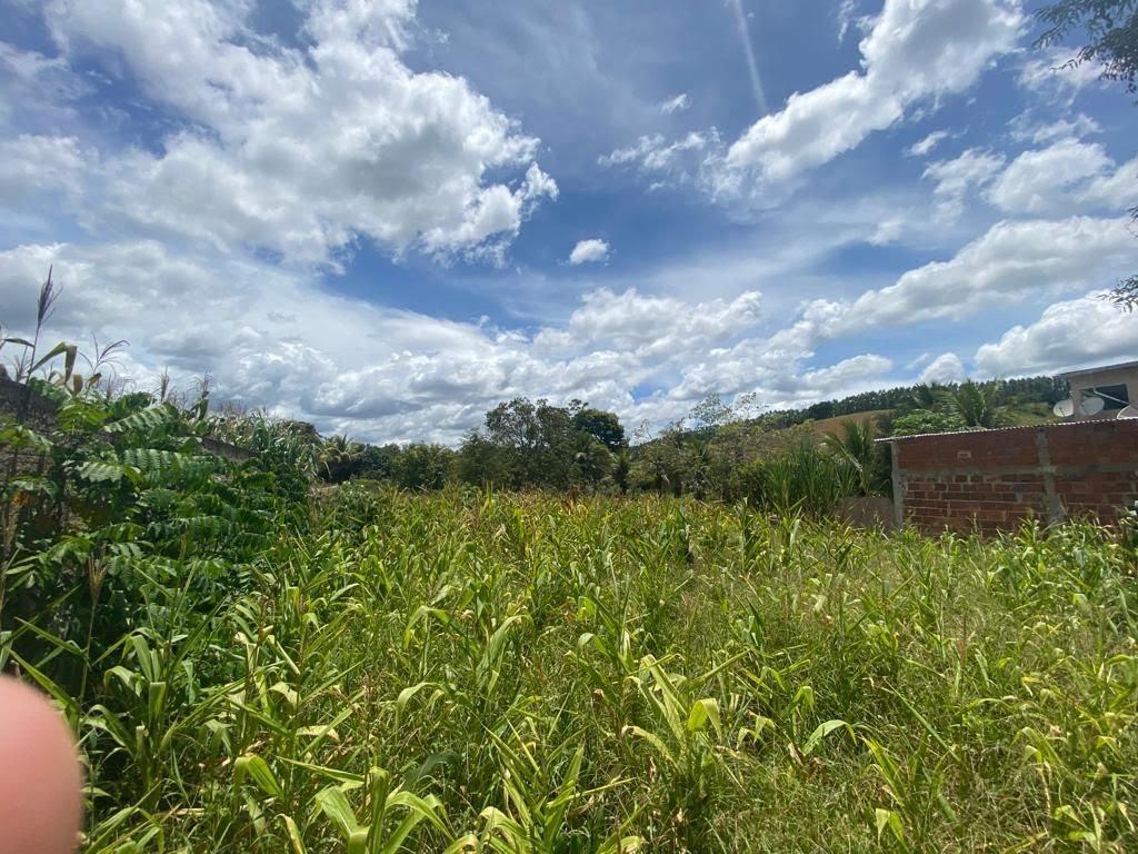 Lote, São Sebastião de Braúnas, 0 Quarto, 0 Vaga