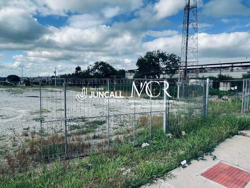 Lote, São Paulo