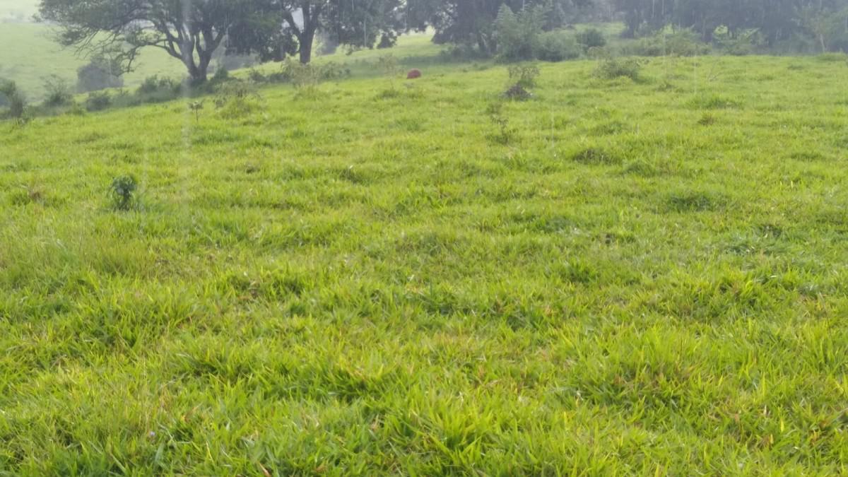 Fazenda, Zona Rural, 0 Quarto, 0 Vaga