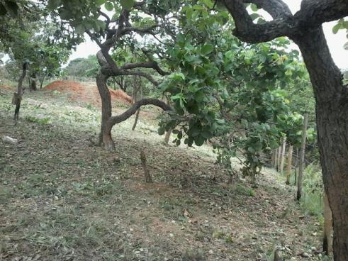 Lote, Centro, 0 Quarto, 0 Vaga