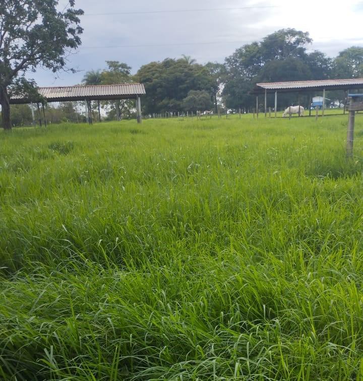 Fazenda, Zona Rural, 4 Quartos, 0 Vaga
