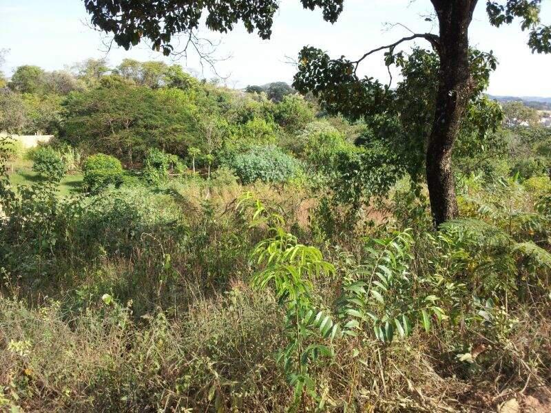 Lote, Tropical, 0 Quarto, 0 Vaga