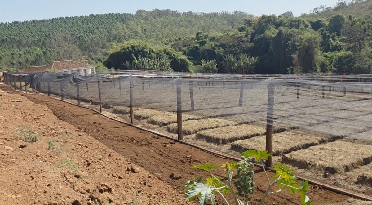 Fazenda, Zona Rural, 0 Quarto, 0 Vaga