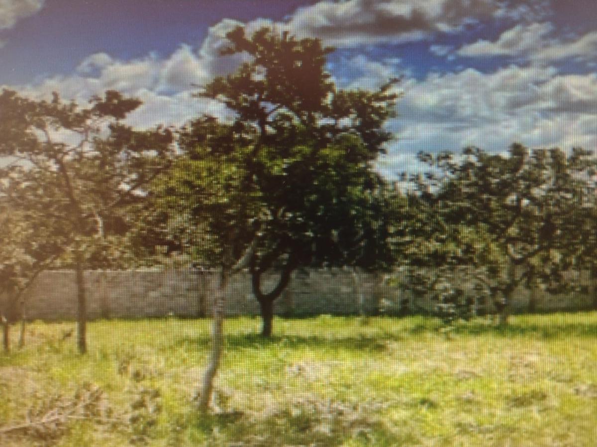 Lote, Joá, 0 Quarto, 0 Vaga