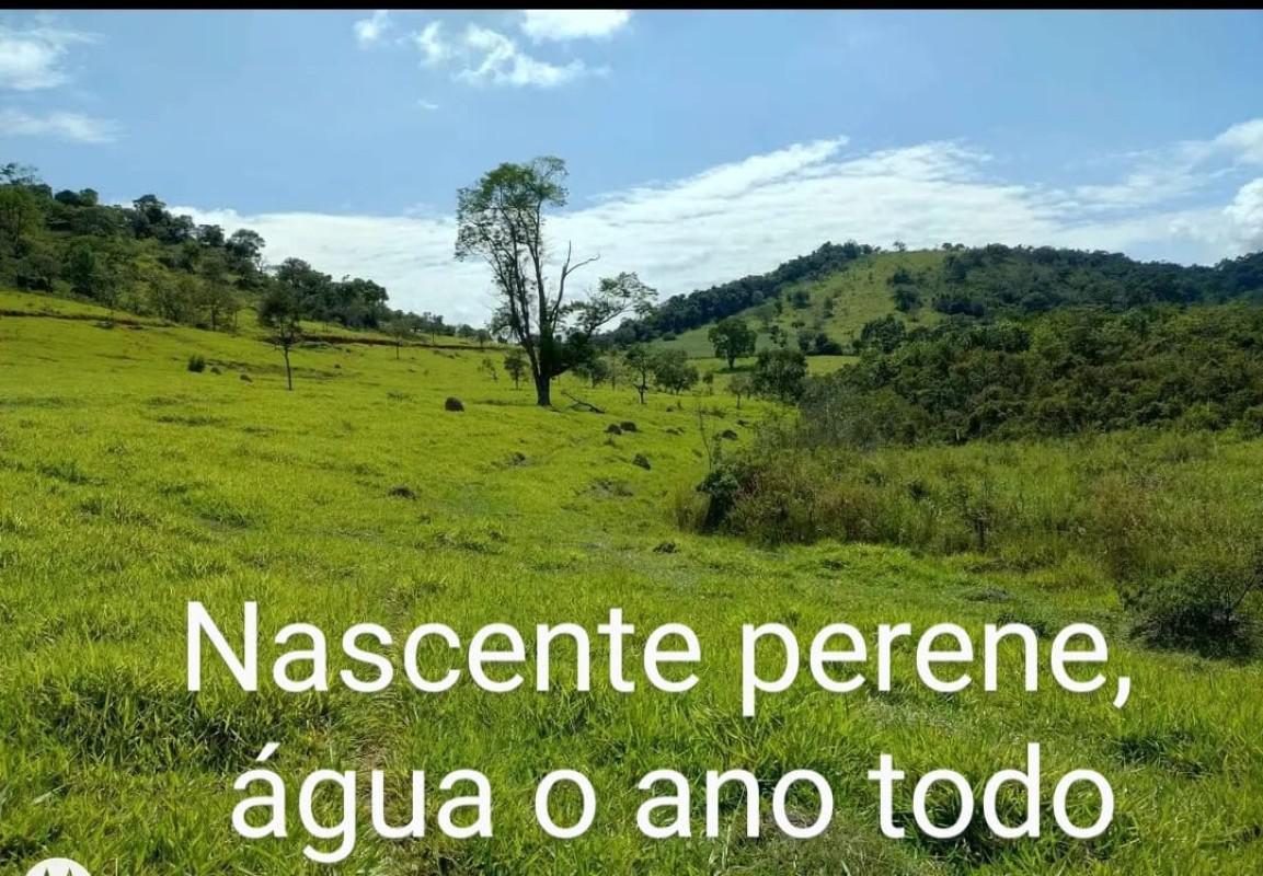Lote, Centro, 0 Quarto, 0 Vaga