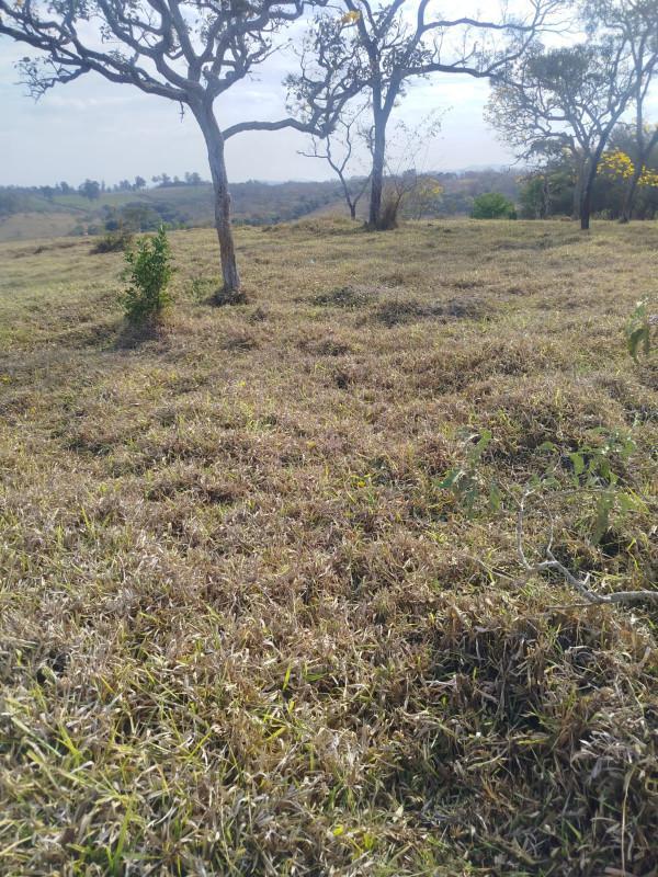 Fazenda, Zona Rural, 0 Quarto, 0 Vaga