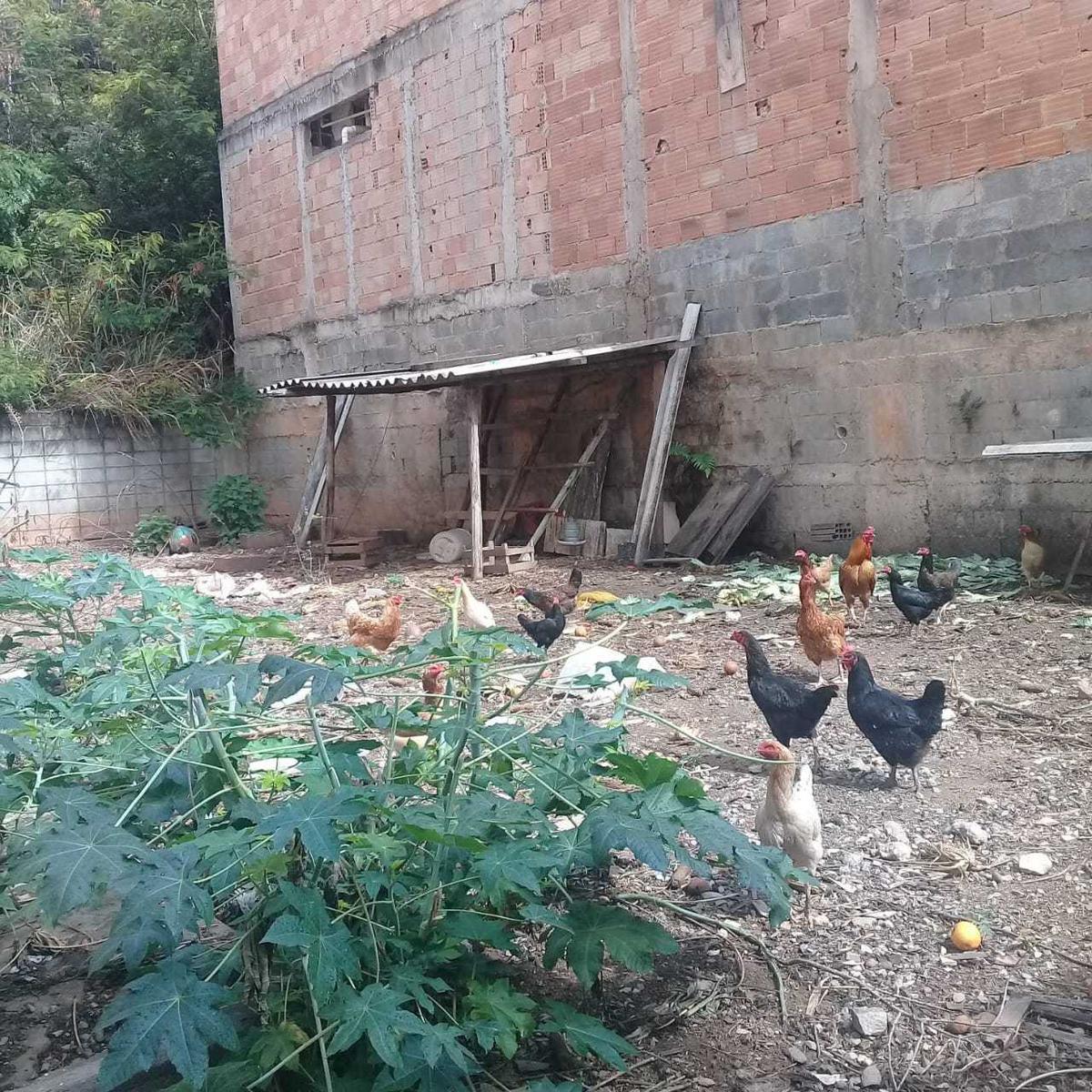 Lote, Jardim Vitória, 0 Quarto, 0 Vaga