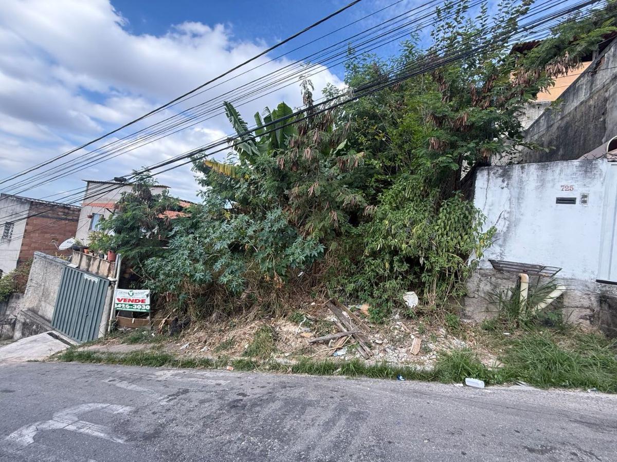 Lote, Santa Maria, 0 Quarto, 0 Vaga