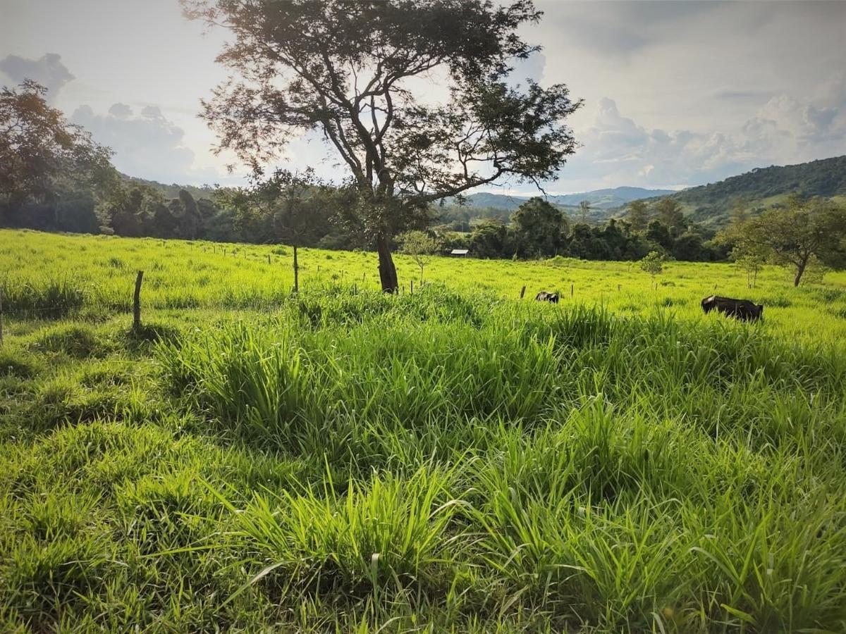Fazenda, Zona Rural, 4 Quartos, 2 Vagas