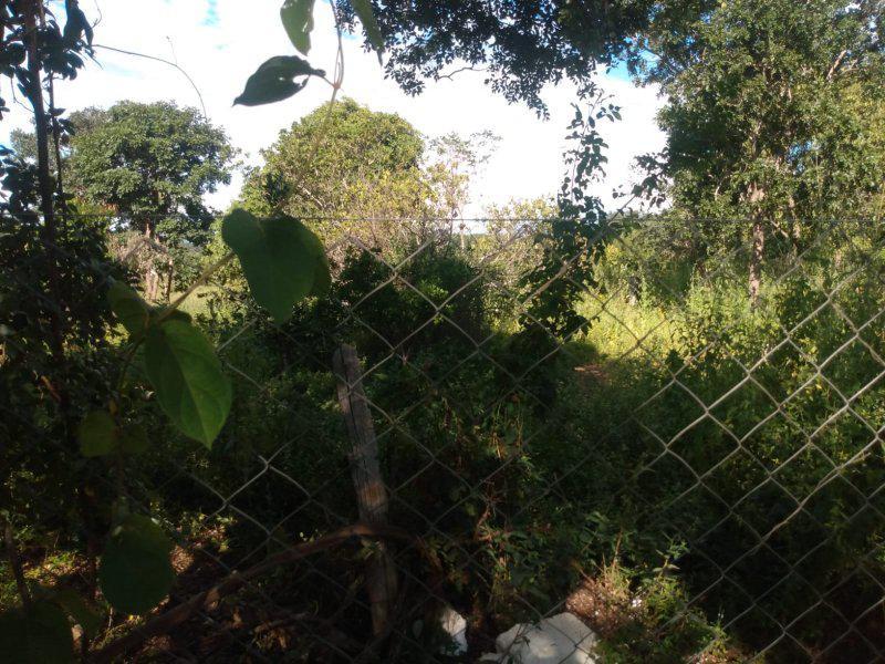 Fazenda, Centro, 3 Quartos, 0 Vaga