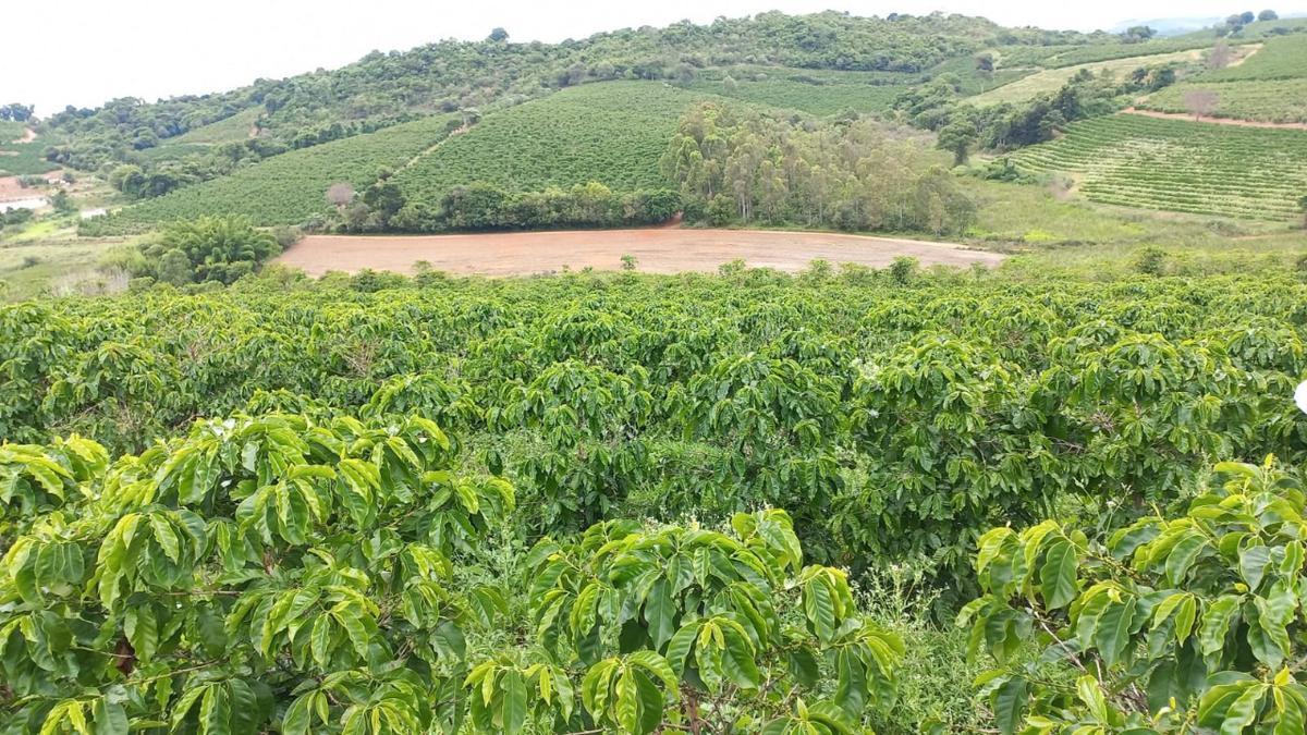 Fazenda, Zona Rural, 0 Quarto, 0 Vaga