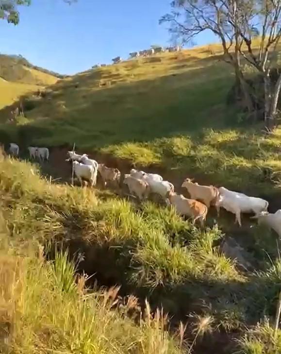 Fazenda, Zona Rural, 4 Quartos, 0 Vaga