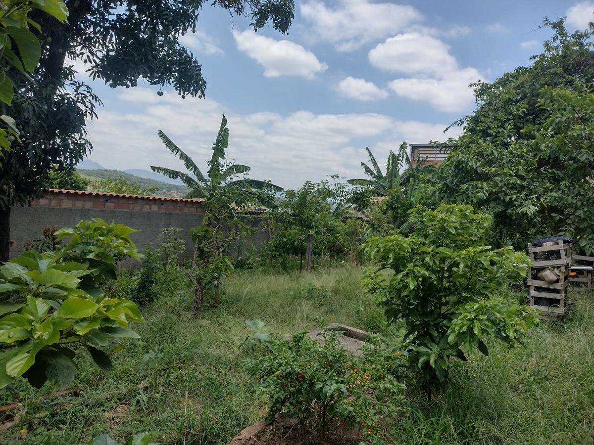 Lote, São João, 0 Quarto, 2 Vagas