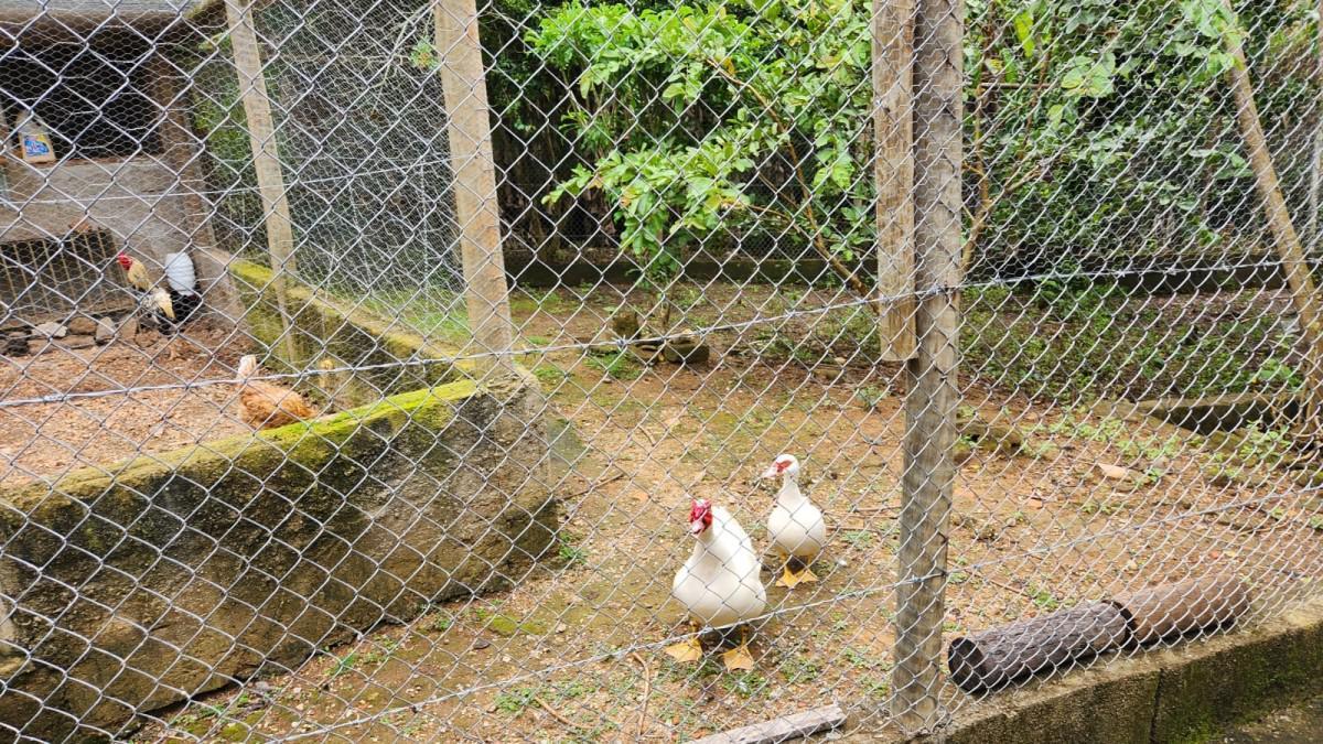 Fazenda, Zona Rural, 2 Quartos, 0 Vaga, 1 Suíte
