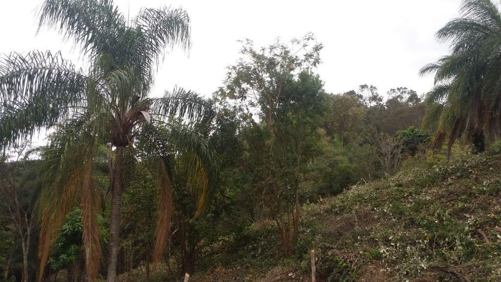 Lote, Ravena, 0 Quarto, 0 Vaga