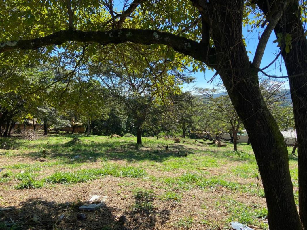 Lote, Jardim Anchieta, 0 Quarto, 0 Vaga