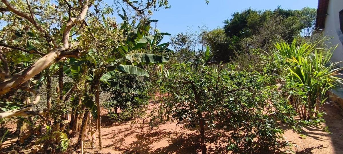 Lote, São Bernardo, 0 Quarto, 0 Vaga