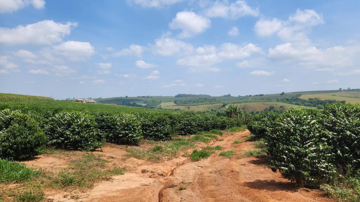 Fazenda, Zona Rural, 1 Quarto, 0 Vaga