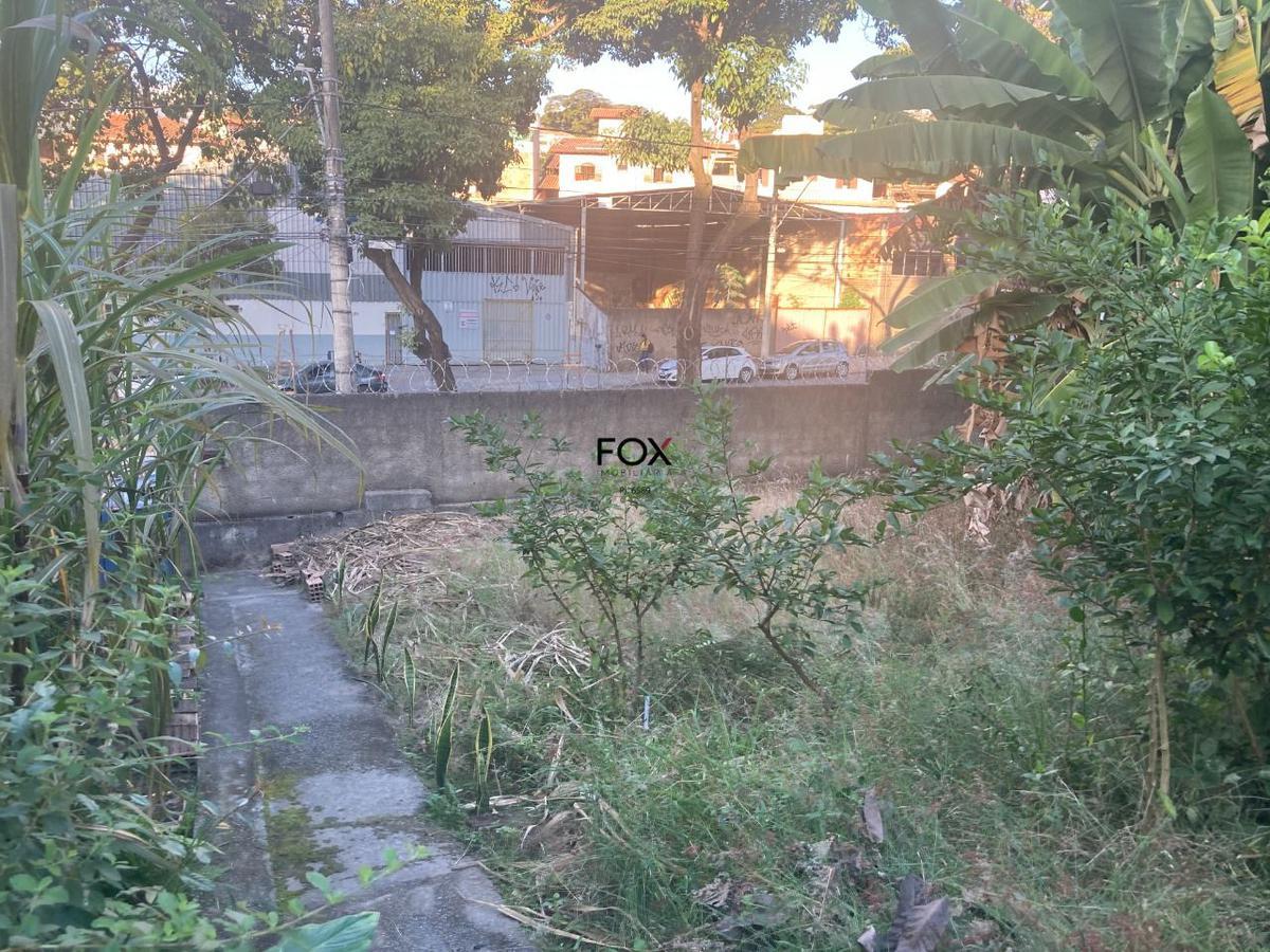 Lote, Santa Amélia, 3 Quartos, 2 Vagas