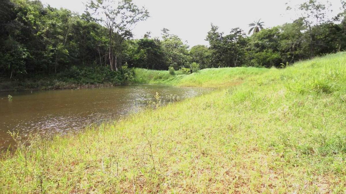 Fazenda, Zona Rural, 3 Quartos, 0 Vaga