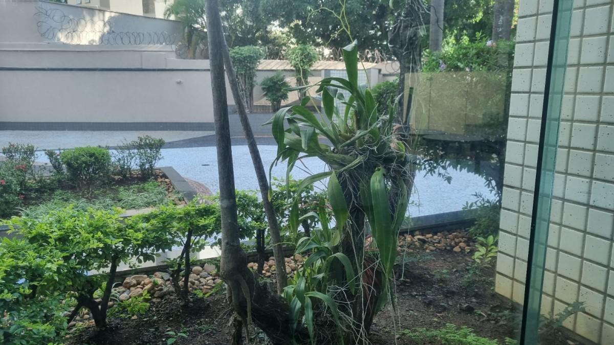Apartamento, Sion, 3 Quartos, 2 Vagas, 1 Suíte